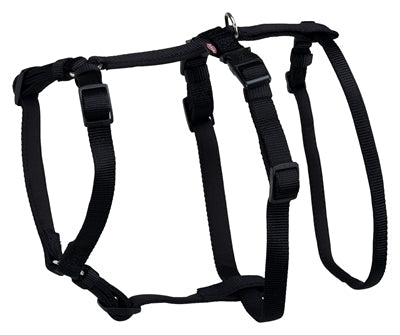 Tuig of halsband voor je hond: wat is beter?