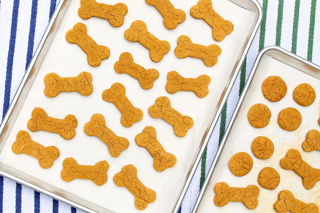 Hondenkoekjes maken met pindakaas: makkelijk recept voor thuis