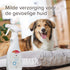 BEAPHAR SPRAY BIJ JEUK