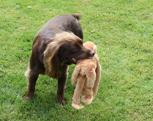 Multipet Swinger Baviaan 36X16 CM