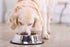 Happy Pet Voerbak Antislip 17 Cm