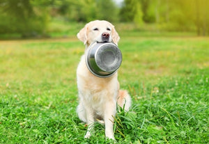 Happy Pet Voerbak Rvs 16,5 Cm
