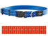 Rogz For Dogs Nitelife Halsband Oranje 11 MMX20-32 CM