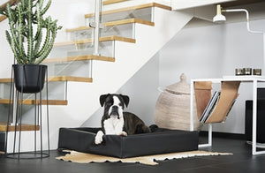 Bia Bed Hondenmand Original Zwart Bia-6 100X80X15 Cm
