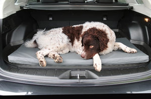 Bia Bed Matras Ligbed Grijs 85X56X5 CM