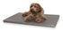 Bia Bed Matras Ligbed Grijs 73X50X5 Cm