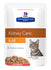 Hill's Prescription Diet Hill's Feline K/D Zalm 12X85 GR