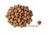 Renske Super Premium Adult Kalkoen / Eend 2 Kg