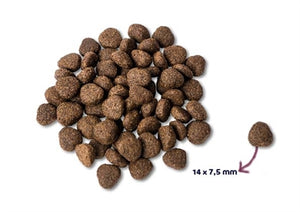 Renske Super Premium Adult Zalm Graanvrij 2 KG