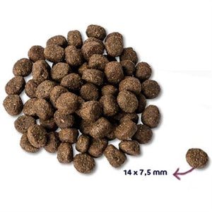 Renske Super Premium Senior Kalkoen Graanvrij 2 KG