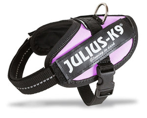 Julius K9 Power-Harnas / Tuig Voor Labels Roze MAAT 0/58-76 CM