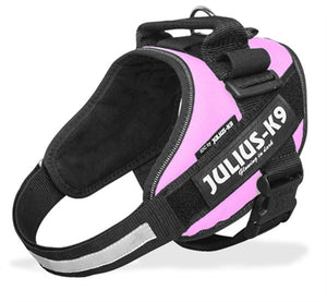 Julius K9 Power-Harnas / Tuig Voor Labels Roze MINI/49-67 CM