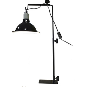 Komodo Licht Standaard 37-63 Cm