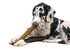 PETSTAGES DOGWOOD DURABLE STICK