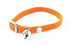 Martin Halsband Kat Elastisch Nylon Oranje 30X1 Cm
