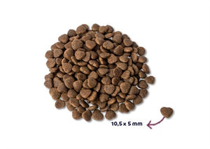 Renske Super Premium Adult Verse Zalm 6 KG