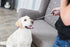 Trixie Dog Activity Target Stick Aanwijsstok Assorti 14-65 CM