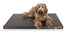Bia Bed Matras Orthopedisch Ligbed Zwart 105X66X5 Cm