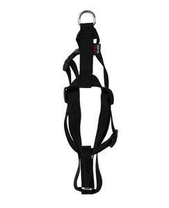 Martin Hondentuig Basic Nylon Zwart 70-90X2,5 Cm