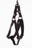 Martin Instap Tuig Nylon Zwart 30-50X1,5 Cm