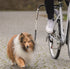 Trixie Bikerset Fietsbeugel Springer - PetSuperXL