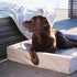 BIA BED OUTDOOR HOES HONDENMAND TAUPE