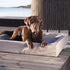 BIA BED OUTDOOR HOES HONDENMAND TAUPE