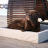 BIA BED OUTDOOR HOES HONDENMAND TAUPE