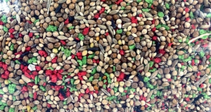 De Vries Tropisch Zaad 2,5 KG