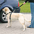 Trixie Hondentuig Auto Inclusief Gordel Zwart 70-90 Cm