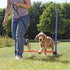 Trixie Dog Activity Agility Horde Blauw / Oranje 123X115X3 Cm