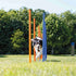 Trixie Dog Activity Agility Slalom Stokken Blauw / Oranje 115X3 Cm 12 St