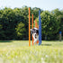 Trixie Dog Activity Agility Slalom Stokken Blauw / Oranje 115X3 Cm 12 St