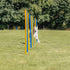 Trixie Dog Activity Agility Slalom Stokken Blauw / Oranje 115X3 Cm 12 St