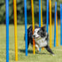 Trixie Dog Activity Agility Slalom Stokken Blauw / Oranje 115X3 Cm 12 St