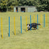 Trixie Dog Activity Agility Slalom Stokken Blauw / Oranje 115X3 Cm 12 St