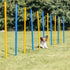 Trixie Dog Activity Agility Slalom Stokken Blauw / Oranje 115X3 Cm 12 St