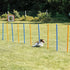 Trixie Dog Activity Agility Slalom Stokken Blauw / Oranje 115X3 Cm 12 St
