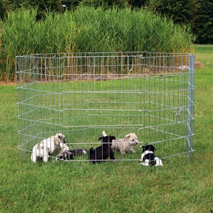 Trixie Natura Puppyren Gegalvaniseerd Metaal 8 Panelen Dia 154 Cm 61X91 Cm