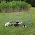 Trixie Natura Puppyren Gegalvaniseerd Metaal 8 Panelen Dia 154 Cm 61X91 Cm