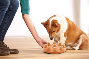Nina Ottosson Dog Smart Composiet 23X23X6 CM