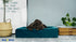Bia Bed Royal Fluweel Hoes Voor Hondenmand Petrol BIA-50 60X50X12 CM