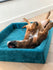 Bia Bed Royal Fluweel Hoes Voor Hondenmand Petrol BIA-100 120X100X15 CM