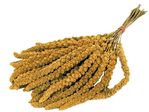 Merkloos Trosgierst Chinees 15 KG