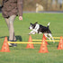 Trixie Dog Activity Hordenset 2 St