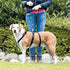Trixie Hondentuig Stay Zwart L-Xl 70-100 Cm