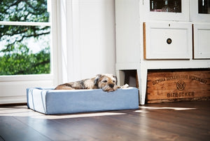 Bia Bed Cotton Hoes Voor Hondenmand Blauw BIA-60 70X60X15 CM
