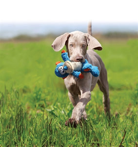 Kong Cross Knots Lion 35X25X20 CM