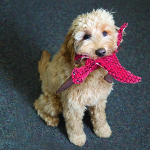 Kong Dynos T-Rex Blauw 35X18X35 CM