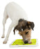 Trixie Lick'n'snack Plaat Tpr / Plastic 20X20 Cm